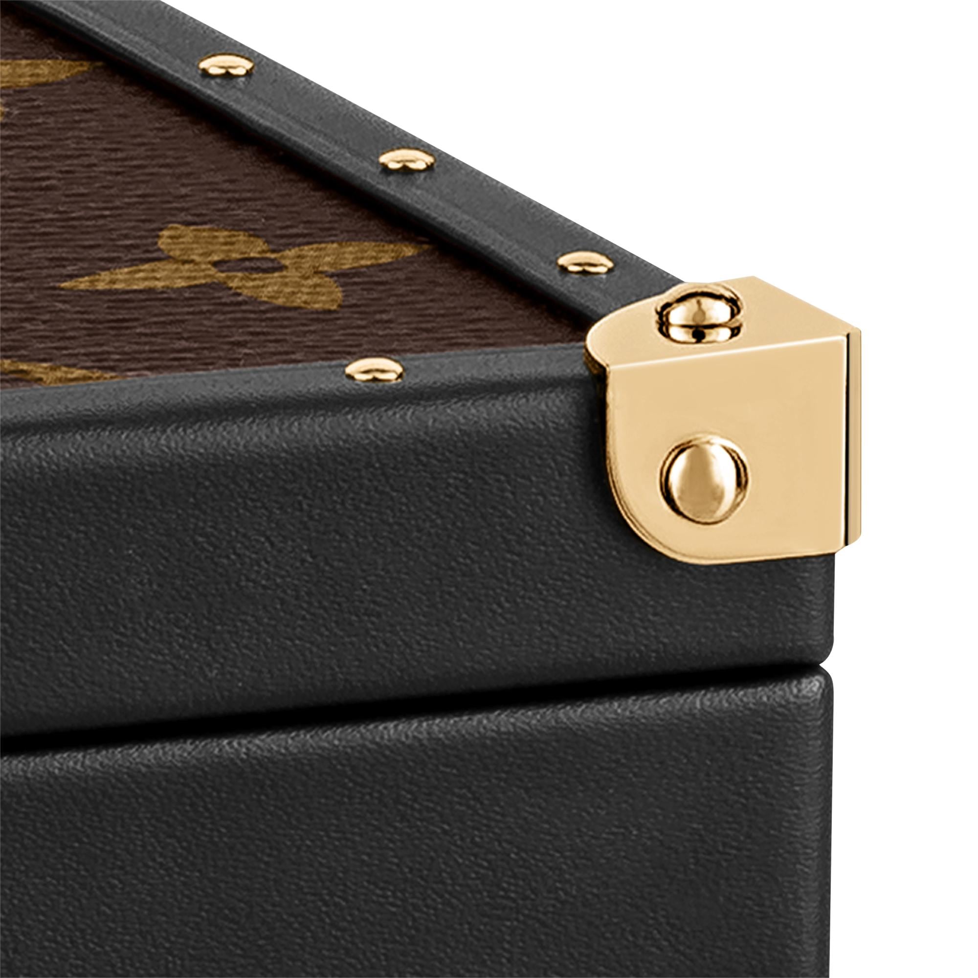 Louis vuitton jewelry online travel case